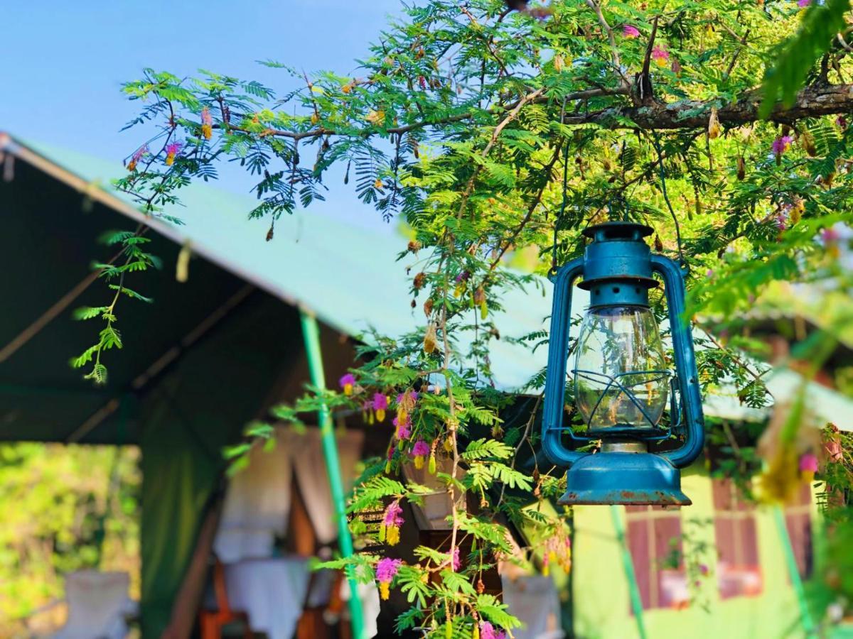 فندق Eden يالا المظهر الخارجي الصورة