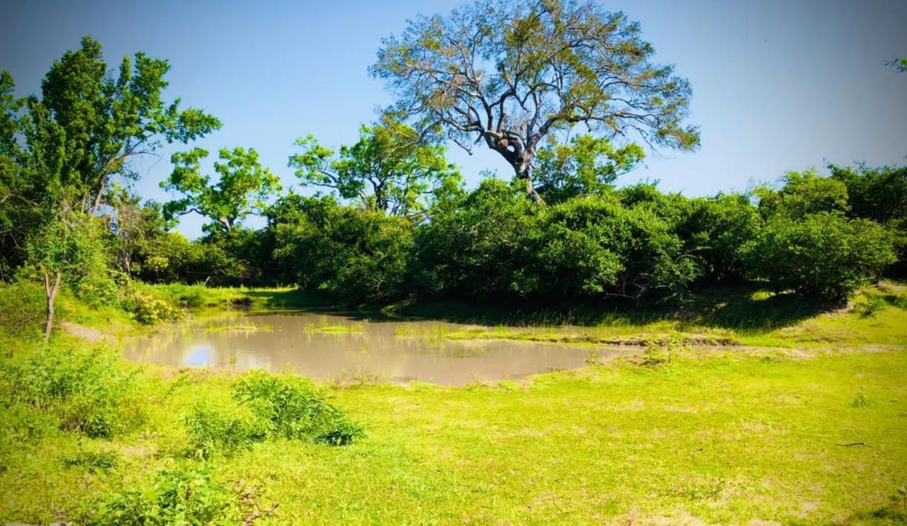 فندق Eden يالا المظهر الخارجي الصورة
