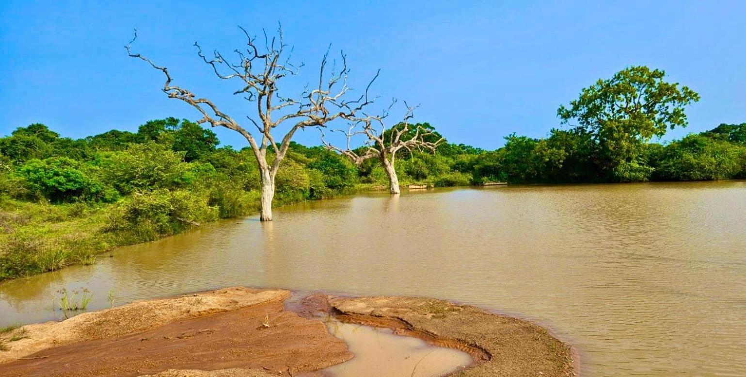فندق Eden يالا المظهر الخارجي الصورة