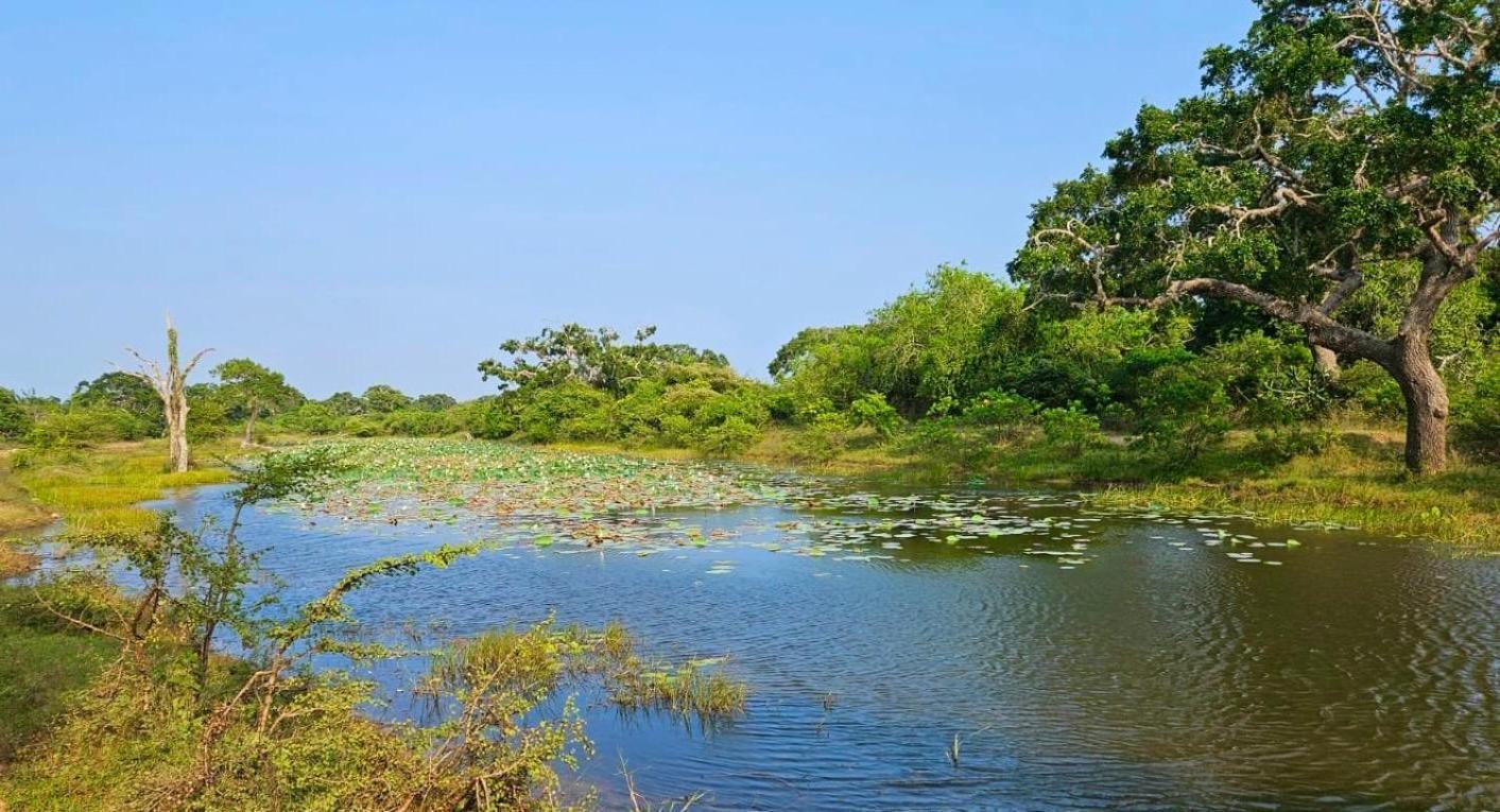 فندق Eden يالا المظهر الخارجي الصورة