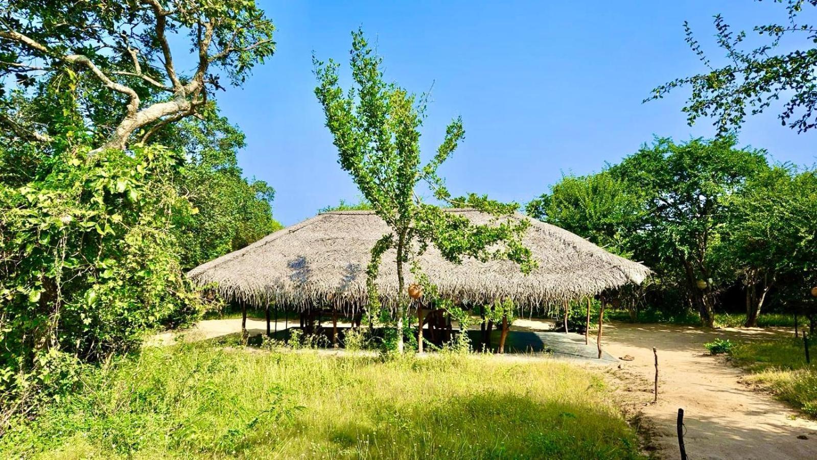 فندق Eden يالا المظهر الخارجي الصورة
